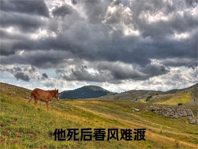 顾骁萧若姗（他死后春风难渡）结局+番外免费品鉴_（他死后春风难渡）顾骁萧若姗+后续评价五颗星