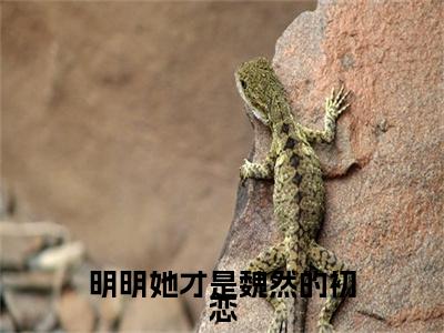 （书荒必看）邵兰溪魏然小说(明明她才是魏然的初恋)无删减在线下载阅读最终终章