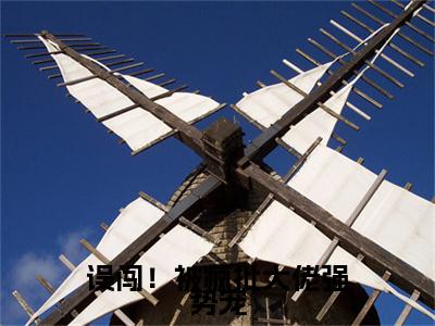 温以柠小说(误闯！被疯批大佬强势宠)+前传（温以柠）阅读