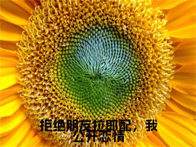 前传_笔趣阁（周序陈小满）周序陈小满小说(拒绝朋友拉郎配，我公开恋情)章节在线阅读