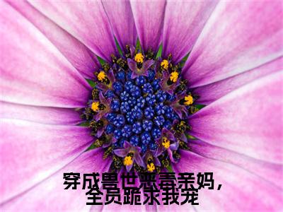 奚姚白泽附加(奚姚白泽)（穿成兽世恶毒亲妈，全员跪求我宠）全本浏览阅读连载中