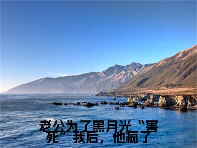 （书荒必看）沈清晏苏知晓小说(老公为了黑月光“害死”我后，他疯了)无删减在线下载阅读最终终章