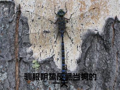 驯服阴鸷反派当狗的一天尹恩顾野完结篇（尹恩顾野）全篇免费版在线+无障碍结局