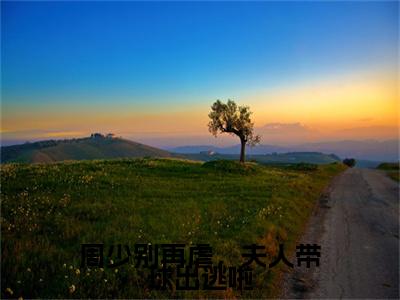 终章小说夏宁雪周禄寒周少别再虐，夫人带球出逃啦小说(夏宁雪周禄寒)已更新+番外篇章（周少别再虐，夫人带球出逃啦）无广告