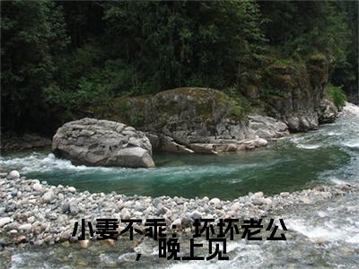 独家盛司珩沈繁星：结局+番外评价五颗星 （盛司珩沈繁星）TXT免费版阅读