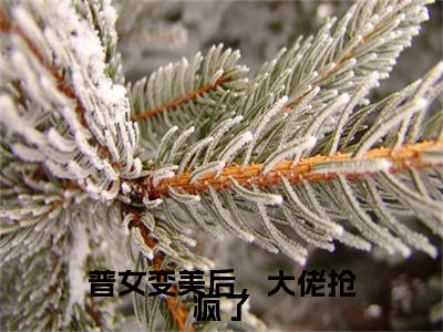 普女变美后，大佬抢疯了附加完整在线阅读（商陆）最近更新列表