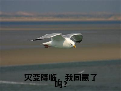 邹月小说(灾变降临，我同意了吗？)全本完整阅读最新章节（邹月）_笔趣阁