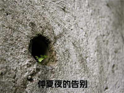 （夏微柠夜宸枭）仲夏夜的告别后续一口气无广告全书章节表
