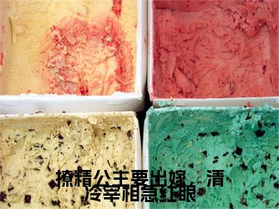 玖月小说（撩精公主要出嫁，清冷宰相急红眼）起点章节+全篇阅读热门作品预订