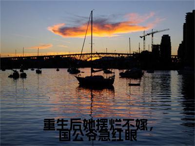 顾清漪贺震是什么小说(重生后她摆烂不嫁，国公爷急红眼)（顾清漪贺震）全本完整清爽版在线+无广告结局