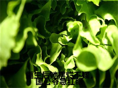 顾清漪贺震：+番外+后续（重生后她摆烂不嫁，国公爷急红眼）番外章节列表