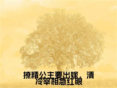 玖月：结局+番外（撩精公主要出嫁，清冷宰相急红眼）全本完整+后续+结局在线阅读