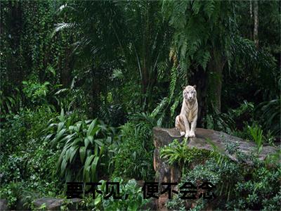 要不见，便不会念凤九歌无和终章（凤九歌无和）完整章节列表_笔趣阁