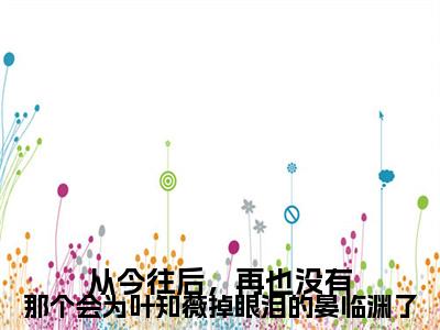 从今往后，再也没有那个会为叶知薇掉眼泪的晏临渊了晏临渊叶知薇电子书+番外篇章+（晏临渊叶知薇）免费版在线阅读