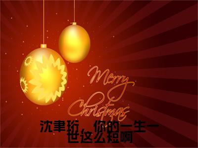 小说沈聿珩，你的一生一世这么短啊(沈聿珩，你的一生一世这么短啊)已更新+无删减（南语沈聿珩）