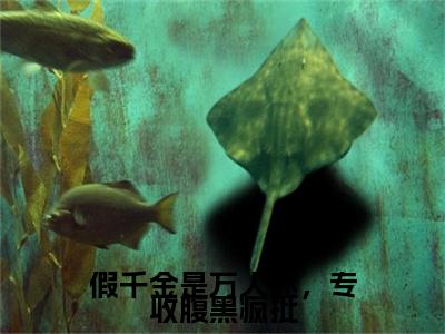 沈知落续集(沈知落)终极反转（假千金是万人迷，专收腹黑疯批）全篇一口气阅读