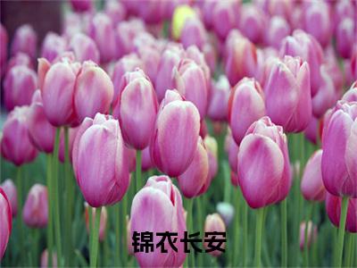 锦衣长安：结局+番外新上热文 新章速递姚杳霍寒山：结局+番外评价五颗星