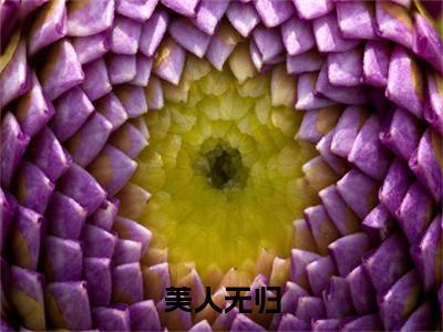 美人无归小说章节目录+序章（言怀素苏念南）全书畅享在线