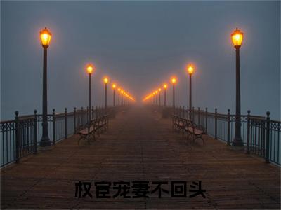 （谢怀绪陆明歌）谢怀绪陆明歌(权宦宠妻不回头)整书在线无广告高口碑小说