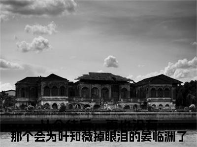 电子书+番外篇章+（从今往后，再也没有那个会为叶知薇掉眼泪的晏临渊了）免费版在线阅读