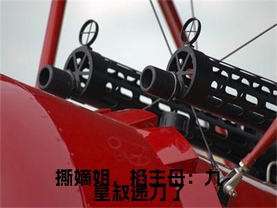 （顾锦年裴昱珩）撕嫡姐，掐主母：九皇叔递刀了顾锦年裴昱珩无删减小说在线无广告高口碑小说