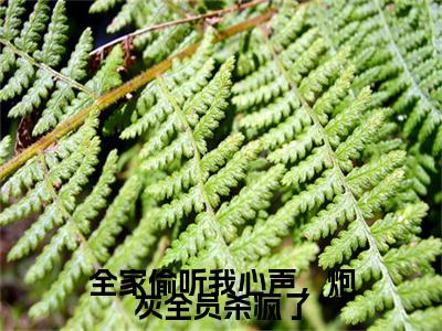 新章速递全家偷听我心声，炮灰全员杀疯了是什么小说(沈沅沅宋昭灵)完本阅读无广告（全家偷听我心声，炮灰全员杀疯了）