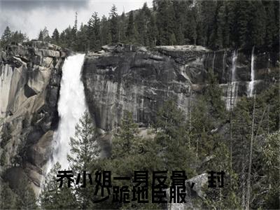乔小姐一身反骨，封少跪地臣服：+后续热血十足 乔盛意封临：结局+番外评价五颗星