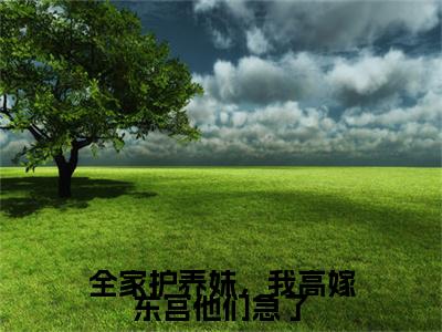 全家护养妹，我高嫁东宫他们急了小说完本章节前文+全篇阅读（林清婉赵琮）连载中