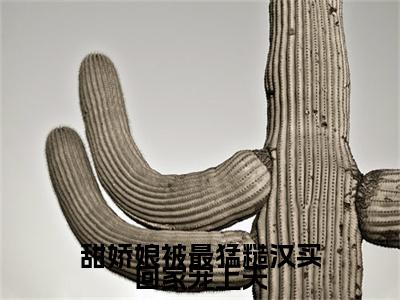 甜娇娘被最猛糙汉买回家宠上天番外（阮湘封阳）TXT+后续+结局在线阅读