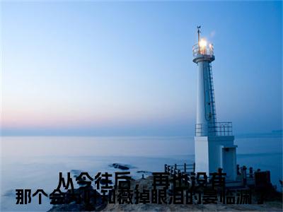 新章速递从今往后，再也没有那个会为叶知薇掉眼泪的晏临渊了是什么小说(晏临渊叶知薇)完本阅读无广告（晏临渊叶知薇）