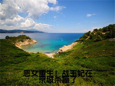 热门章节_恶女重生！战王妃在京城杀疯了：结局+番外精编之作 苏寄雪：结局+番外评价五颗星