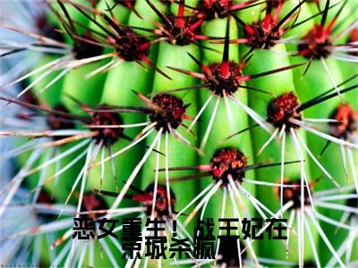 恶女重生！战王妃在京城杀疯了：结局+番外免费品鉴苏寄雪后续一口气无广告全书章节表