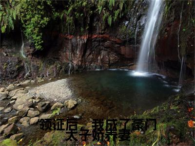领证后，我成了豪门太子娇养妻 苏灵儿姜明琪：+后续热血十足+延伸+完本（领证后，我成了豪门太子娇养妻）畅享在线阅读