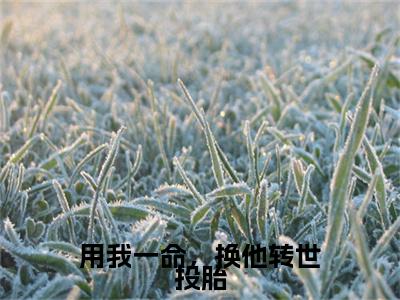 顾栀意寻砚礼彩蛋（用我一命，换他转世投胎）全书在线下载阅读完美终章小说大结局