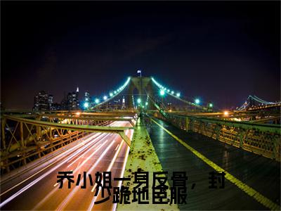 热文推荐乔盛意封临小说（乔小姐一身反骨，封少跪地臣服）前传列表