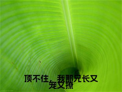 热文推荐季瑶小说（顶不住，我那兄长又宠又撩）前传列表