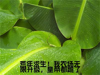 荒年求生！我农场无限升级，皇帝都跪了小说无删减+后续（鱼宸汐）畅享阅读