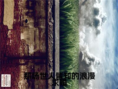 那场世人皆知的浪漫求婚小说（沈清予宋砚屿）+后续+结局在线阅读