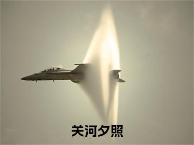 关河夕照：+番外+后续在线阅读徐徵李乐训