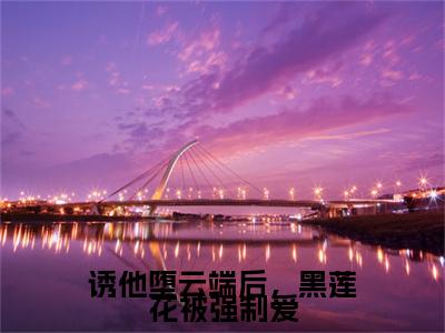 （书荒必看）傅嘉正黎芷诱他堕云端后，黑莲花被强制爱：+后续热血十足