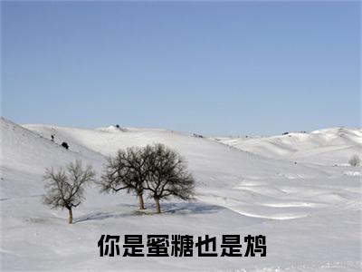 程静雅向致宴(你是蜜糖也是鸩)（程静雅向致宴）全书+后续+结局在线阅读