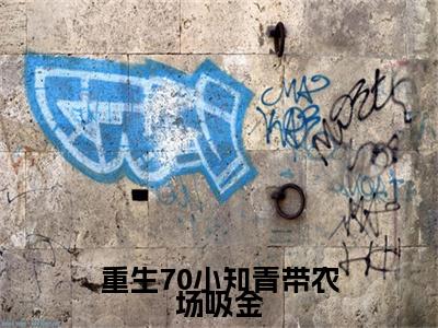 徐开心顾辞小说(重生70小知青带农场吸金)序章+全章阅读（徐开心顾辞）最新章节