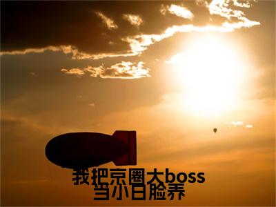 （苏迎夕贺严燊）苏迎夕贺严燊小说(我把京圈大boss当小白脸养)小说全集速览无广告高口碑小说