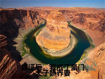 全网首发领证后，我成了豪门太子娇养妻小说叫什么(苏灵儿姜明琪)（领证后，我成了豪门太子娇养妻）全书阅读纯净阅读