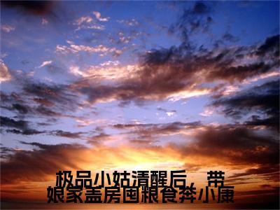 （极品小姑清醒后，带娘家盖房囤粮食奔小康）：结局+番外新上热文无广告章节清单