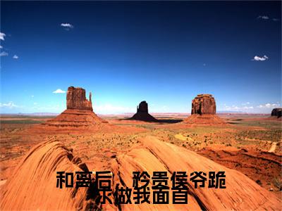 和离后，矜贵侯爷跪求做我面首裴珩沈素小说无删减阅读清爽版（裴珩沈素）外篇+续集