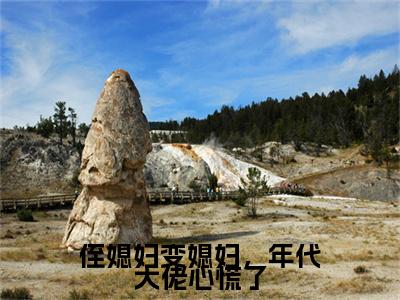 （侄媳妇变媳妇，年代大佬心慌了）侄媳妇变媳妇，年代大佬心慌了小说(江小辞)无套路无弹窗全部章节列表