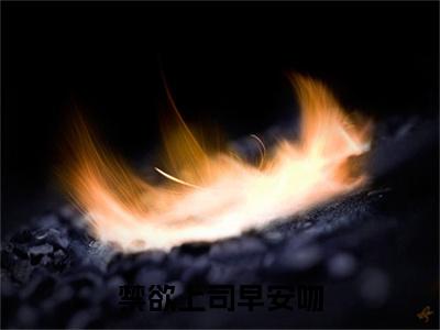 禁欲上司早安吻小说(封凛川林知许)章节目录+起始篇章（禁欲上司早安吻）全章无套路在线