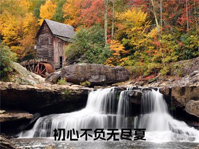 无弹窗全文（陆砚初唐知夏）初心不负无尽夏全文畅享阅读