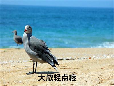 大叔轻点疼小说(崔晓黎)（大叔轻点疼）在线畅读阅读连载中